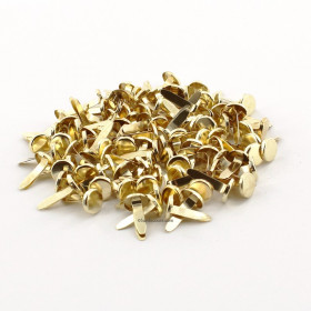 Boîte De 100 Attaches Parisiennes 12Mm - Apli | Surdiscount