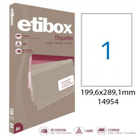 Boite De 100 Étiquettes - Format 199.6X289.1Mm - Etibox - Apli 14954 pas cher