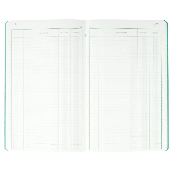 Piqûre - 32X19,5 Cm - Recettes-Dépenses - 80 Pages - Exacompta | Surdiscount