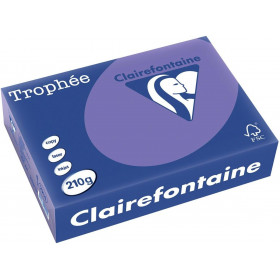 Papier Trophée 210G A4 250 Feuilles Violet - Clairefontaine pas cher