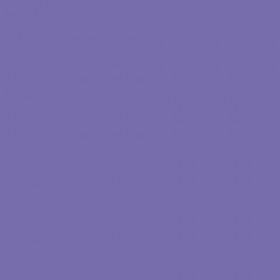 Papier Trophée 210G A4 250 Feuilles Violet - Clairefontaine | Surdiscount