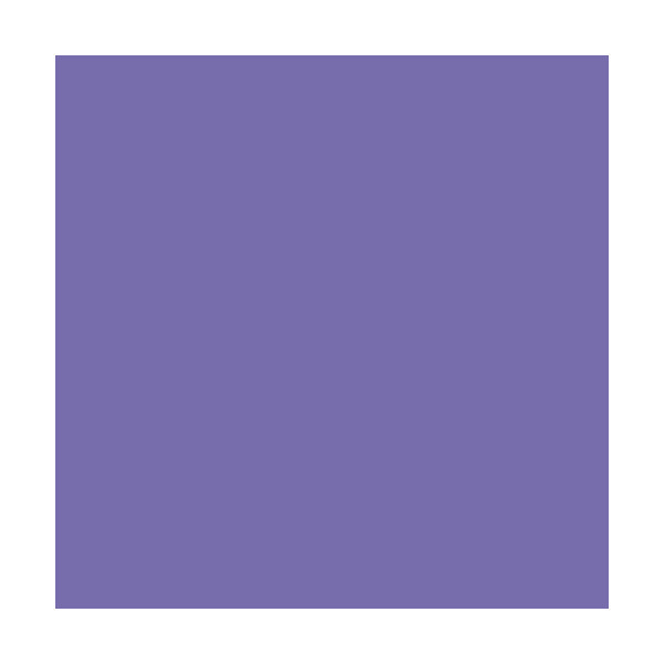 Papier Trophée 210G A4 250 Feuilles Violet - Clairefontaine | Surdiscount