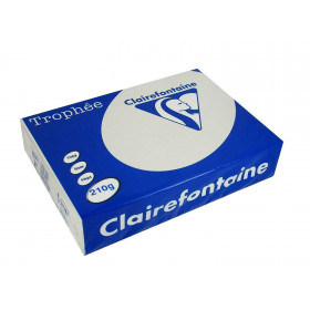 Papier Trophée 210G A4 250 Feuilles Gris Acier - Clairefontaine pas cher