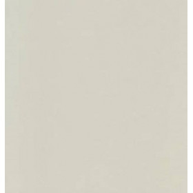 Papier Trophée 210G A4 250 Feuilles Gris Acier - Clairefontaine | Surdiscount