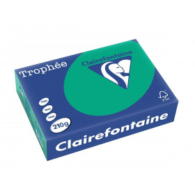 Papier Trophée 210G A4 250 Feuilles Vert Sapin - Clairefontaine pas cher