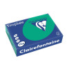 Papier Trophée 210G A4 250 Feuilles Vert Sapin - Clairefontaine pas cher