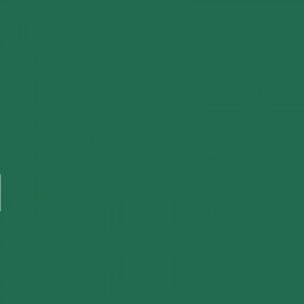 Papier Trophée 210G A4 250 Feuilles Vert Sapin - Clairefontaine | Surdiscount