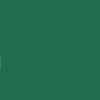 Papier Trophée 210G A4 250 Feuilles Vert Sapin - Clairefontaine | Surdiscount