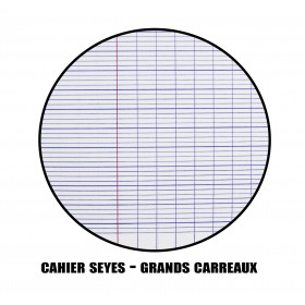 200 Copies Doubles - Grands Carreaux - 70G/M2 - Calligraphe 5615C | Artmania