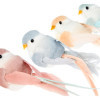 Oiseaux décoratifs - 10cm - 6 pièces - Sur pince - Loisirs créatifs - Déco