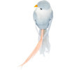Oiseaux décoratifs - 10cm - 6 pièces - Sur pince - Loisirs créatifs - Déco