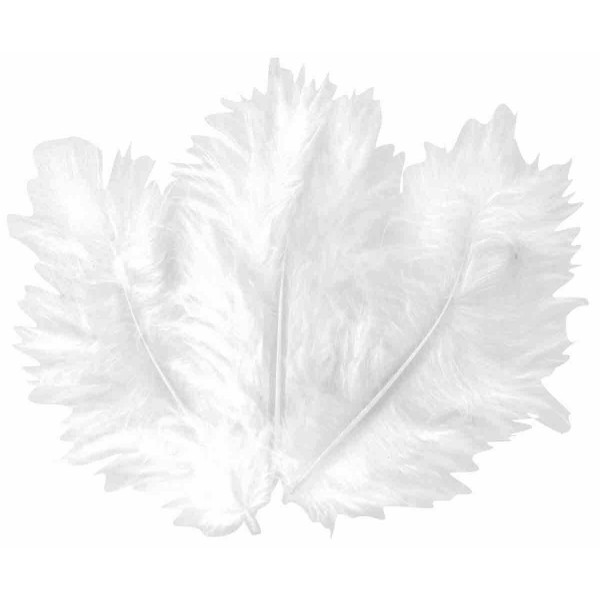 50 PLUMES BLANCHES 10 CM - CTOP