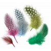 50 Plumes Multicolores 10 Cm - Ctop pas cher