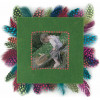 50 Plumes Multicolores 10 Cm - Ctop | Surdiscount