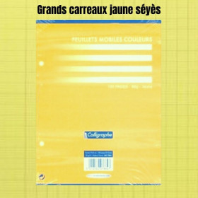 FEUILLETS MOBILES JAUNE PERFORÉES 17X22 CM - CLAIREFONTAINE