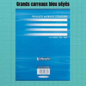 FEUILLETS MOBILES BLEU PERFORÉES 17X22 CM - CLAIREFONTAINE