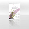 Bloc aquarelle sugar cane - Grain fin - A3 - 290g/m2 - 12 feuilles - Hahnemühle