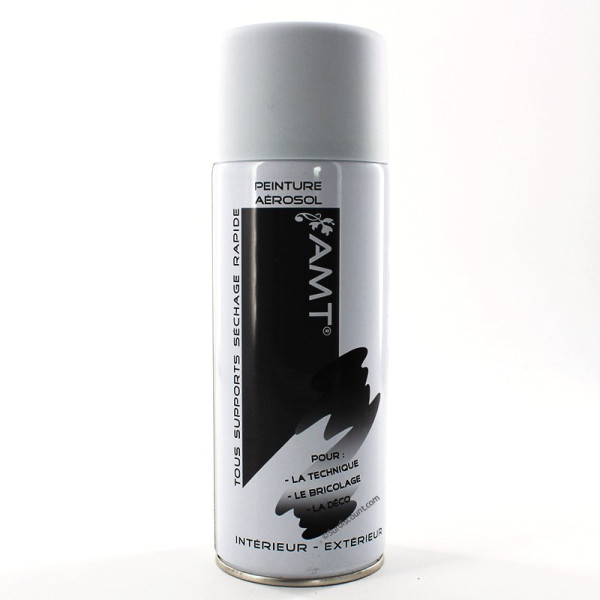 photo - Bombe de peinture - Galet mat - AMT - 330ml