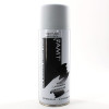 photo - Bombe de peinture - Galet mat - AMT - 330ml
