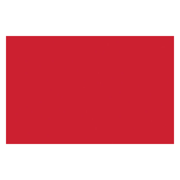 Bombe de peinture - rouge de cadmium moyen - Liquitex | Surdiscount