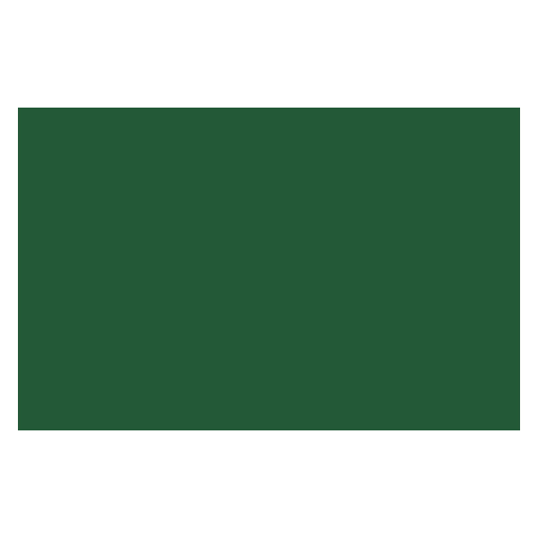 Bombe de peinture - vert oxyde de chrome - Liquitex | Surdiscount