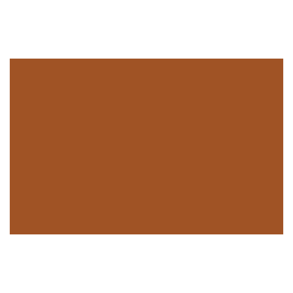 Bombe de peinture - terre de sienne naturelle - Liquitex | Surdiscount
