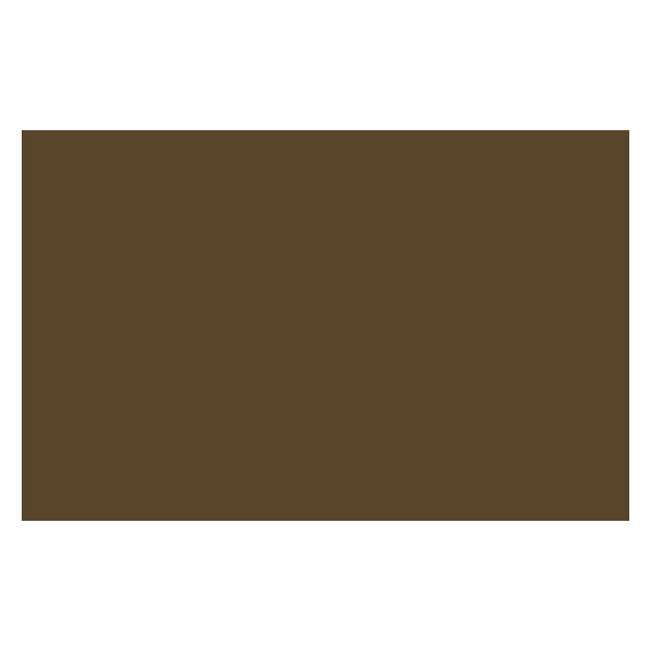 Bombe de peinture - terre d'ombre naturelle - Liquitex | Surdiscount