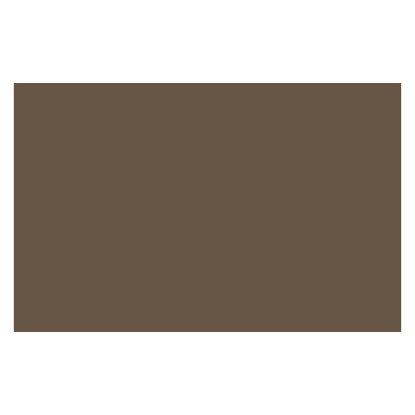 Bombe de peinture - terre d'ombre naturelle 6 - Liquitex | Surdiscount