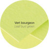 Enveloppes - C5 - 16,2x22,9cm - Pollen - Vert bourgeon - 20 unités - Clairefontaine