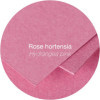 Enveloppes - C5 - 16,2x22,9cm - Pollen - Rose hortensia - 20 unités - Clairefontaine