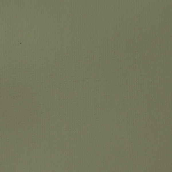 Peinture Acrylique en tube - gris vert - Liquitex Basics | Surdiscount