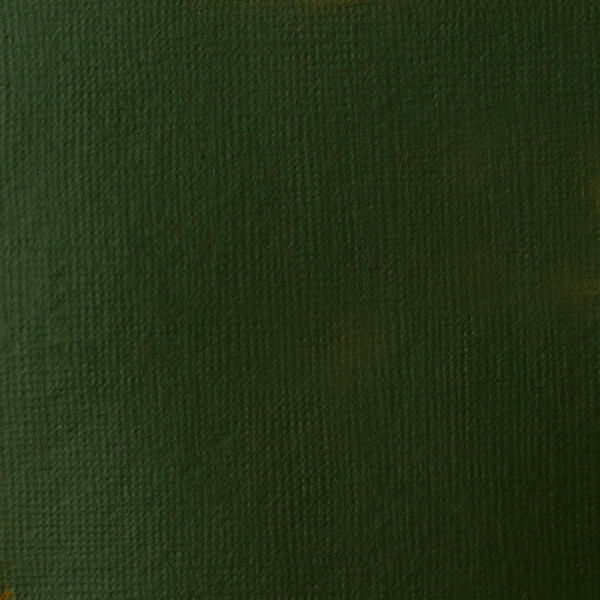 Peinture Acrylique en tube - vert de hooker permanent - Liquitex Basics | Surdiscount