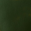 Peinture Acrylique en tube - vert de hooker permanent - Liquitex Basics | Surdiscount