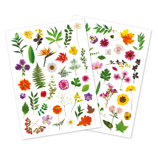 photo - Gommettes - Fleurs - Herbier - Pour enfant - Loisirs créatifs - 73 pièces