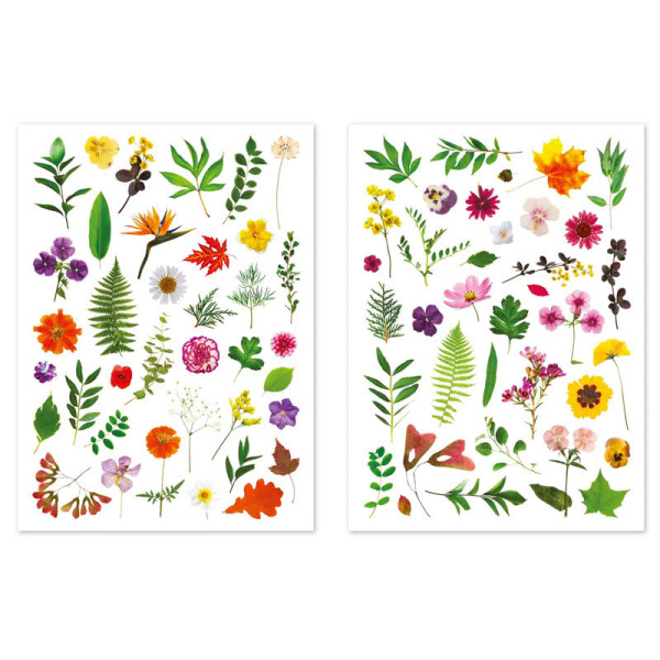 Gommettes - Fleurs - Herbier - Pour enfant - Loisirs créatifs - 73 pièces
