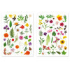 Gommettes - Fleurs - Herbier - Pour enfant - Loisirs créatifs - 73 pièces