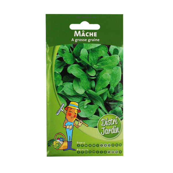 Sachet De Graines Mâche A Grosse Graines pas cher