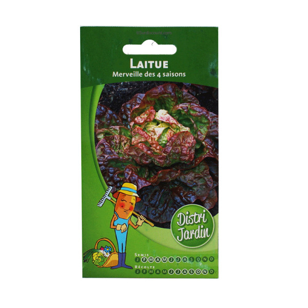 Sachet De Graines Laitue Merveille Des 4 Saisons pas cher