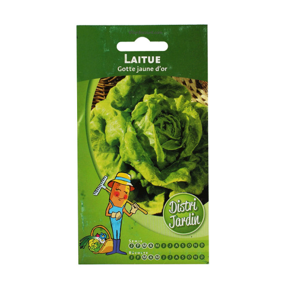 Sachet De Graines Laitue De Printemps Gotte Jaune Or pas cher