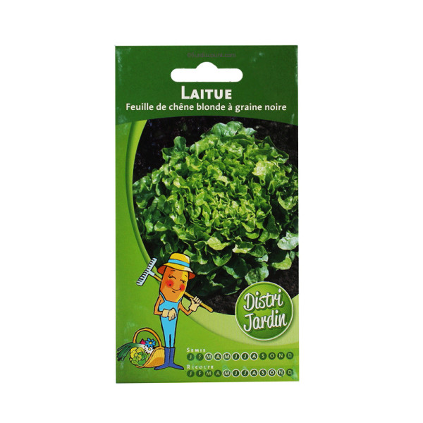 Sachet De Graines Laitue A Couper Feuille Ch√Äne pas cher