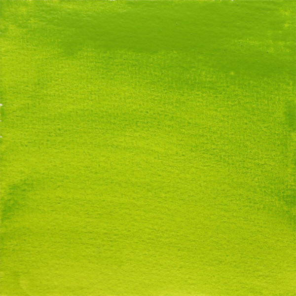 Peinture aquarelle - Extra-fine - Vert Or - 363 - Blockx - Demi-godet