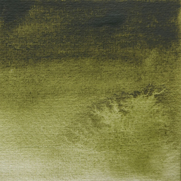 Peinture aquarelle - Extra-fine - Vert Olive - 365 - Blockx - Demi-godet