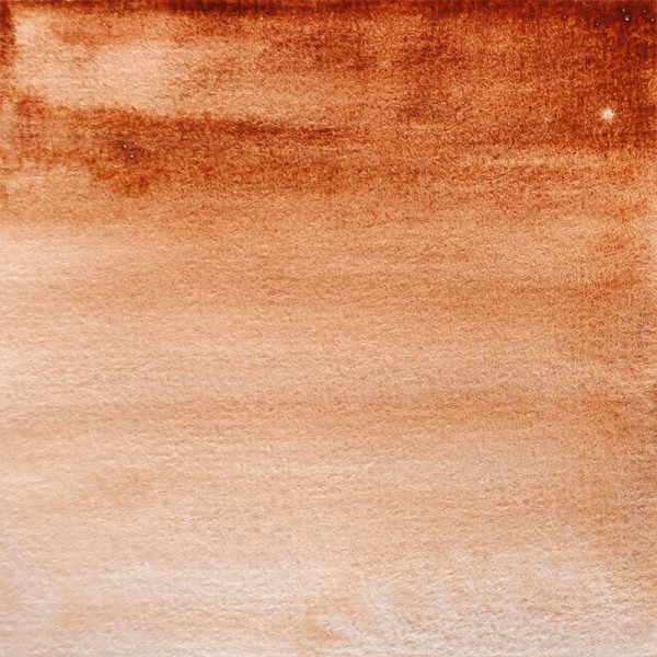 Peinture aquarelle - Extra-fine - Terre de Sienne claire - 141 - Blockx - Demi-godet