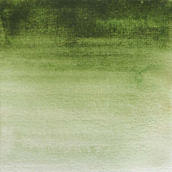Peinture aquarelle - Extra-fine - Vert de Hooker - 164 - Blockx - Demi-godet