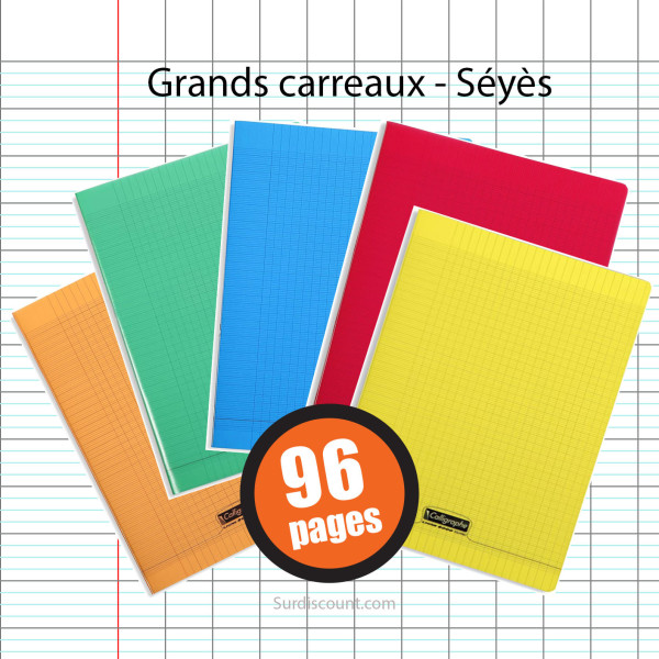 Lot 10 Cahiers Polypro 24X32 96P Grands Carreaux Seyes Assortiment Calligraphe | Surdiscount