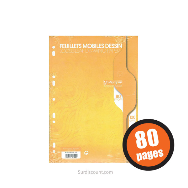 Feuillets Mobiles Dessin Perforées 21X29,7 A4 120G Clairefontaine | Surdiscount