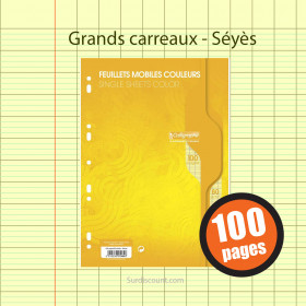 Feuillets Mobiles Perforées Jaune 21X29,7 A4 Grands Carreaux Seyes 90G Clairefontaine pas cher