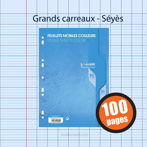 Feuillets Mobiles Perforées Bleu 21X29,7 A4 Grands Carreaux Seyes 90G Clairefontaine pas cher