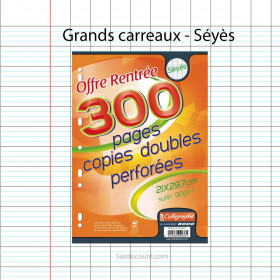 300 COPIES DOUBLES PERFORÉES 21x29,7 A4 GRANDS CARREAUX SEYES 90G CLAIREFONTAINE | Surdiscount