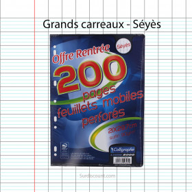 200 Feuillets Mobiles Perforées 21X29,7 A4 Grands Carreaux Seyes 90G Clairefontaine | à seulement 1,99 €